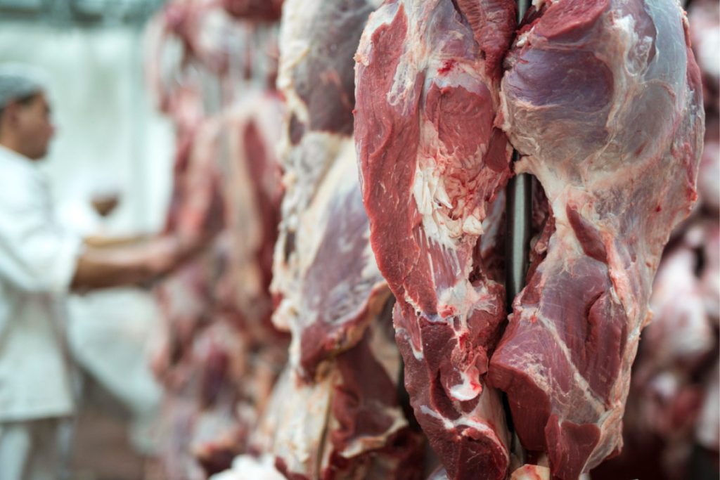 Juja Abattoir Kenya Meat Industry Challenges By Juja Abattoir