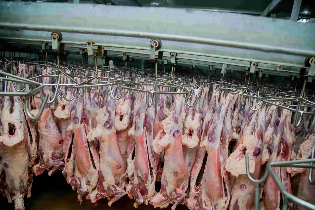 Juja Abattoir Quality Beef Meat Supply in Kenya