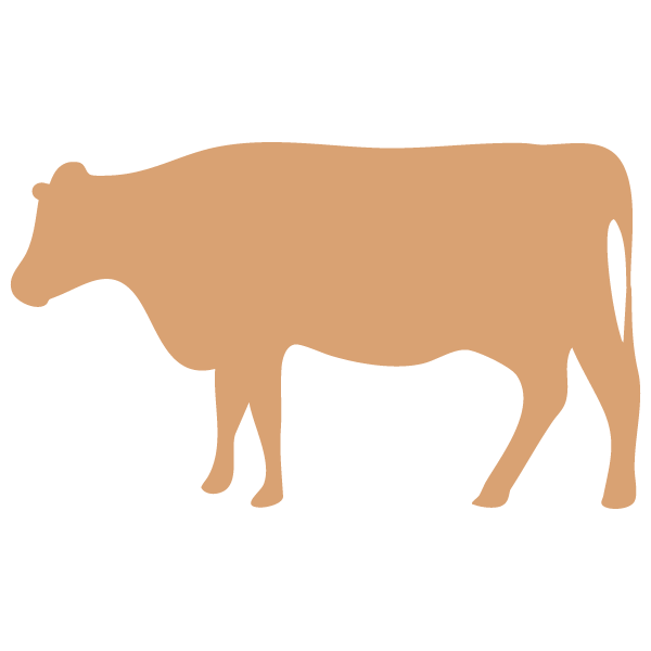 Juja Abattoir Juja Abattoir To be the preferred regional processor for quality meat and meat products. ... and marketing of meat and meat products for local and export markets