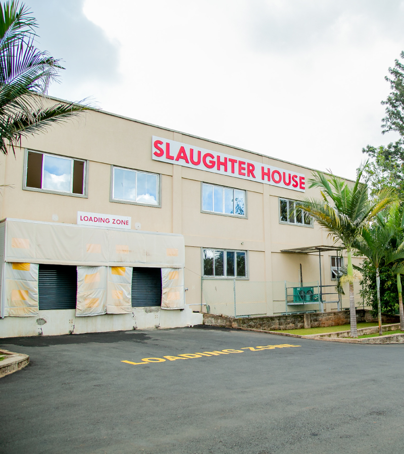 Juja Abattoir Juja Abattoir To be the preferred regional processor for quality meat and meat products. ... and marketing of meat and meat products for local and export markets