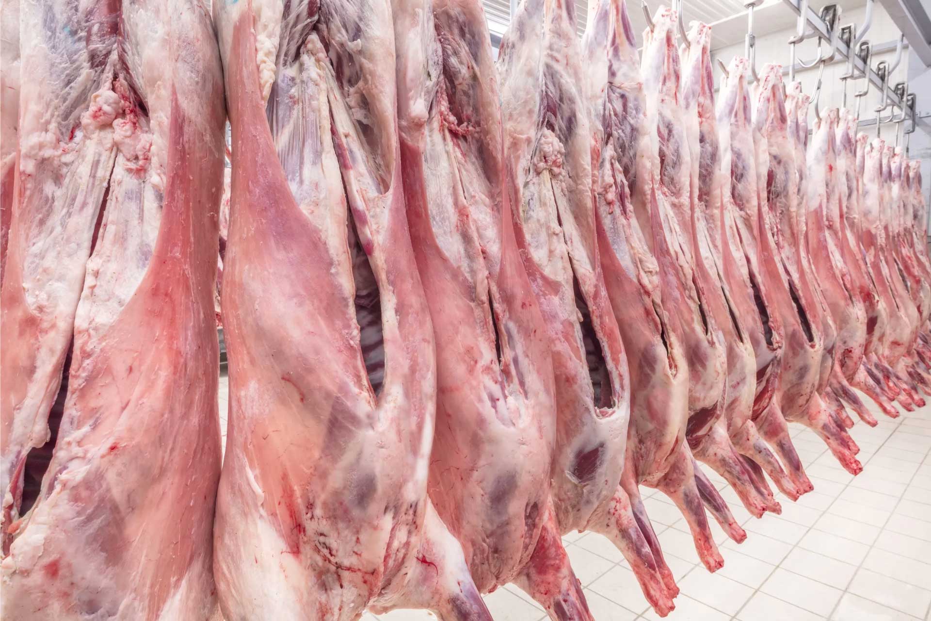 Juja Abattoir Our Skilled Butchers offer Services Tailored to Your Needs
