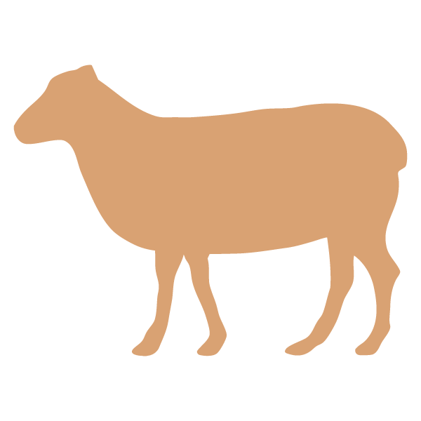 Juja Abattoir Juja Abattoir To be the preferred regional processor for quality meat and meat products. ... and marketing of meat and meat products for local and export markets