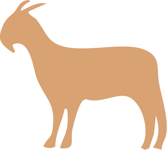Juja Abattoir Juja Abattoir To be the preferred regional processor for quality meat and meat products. ... and marketing of meat and meat products for local and export markets