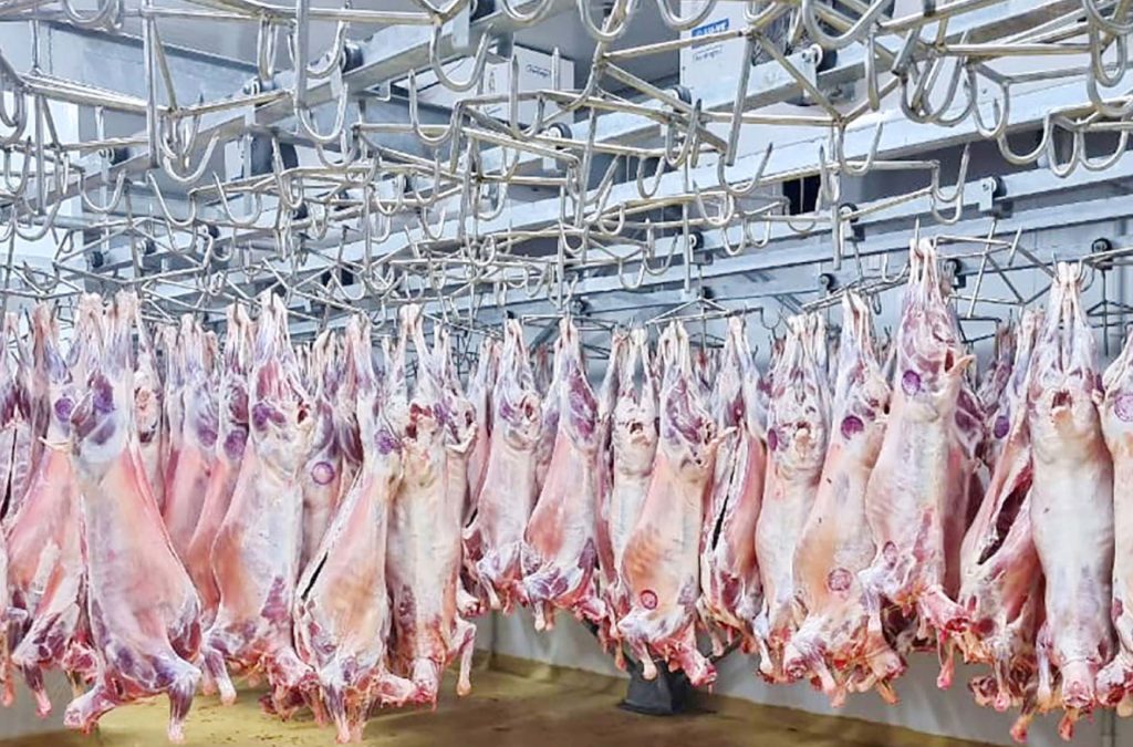 Juja Abattoir How Juja Abattoir Is Tackling Kenya's Meat Sector