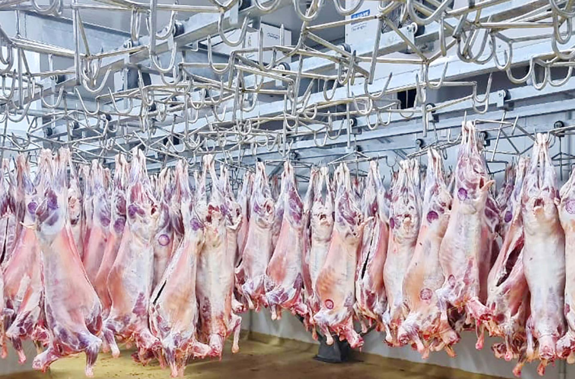 Juja Abattoir How Juja Abattoir Is Tackling Kenya's Meat Sector