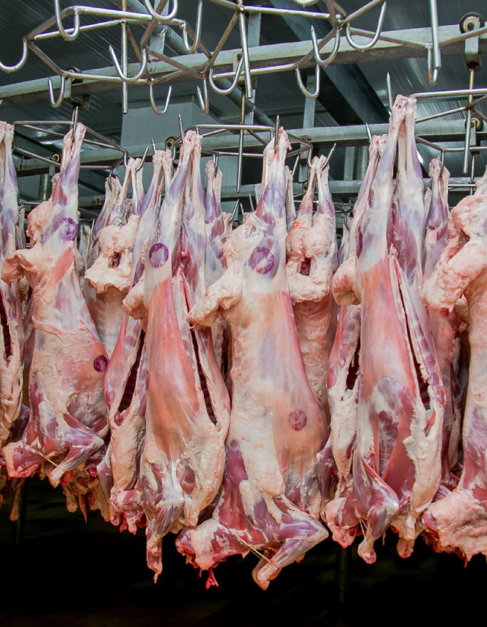 Juja Abattoir Our Products: Goat Meat, Sheep Meat, Beef Meat, Camel Meat