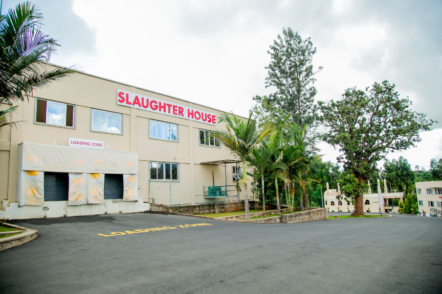 Juja Abattoir Transforming Kenya Meat Processing Standards