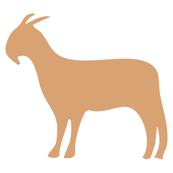 Juja Abattoir Juja Abattoir To be the preferred regional processor for quality meat and meat products. ... and marketing of meat and meat products for local and export markets